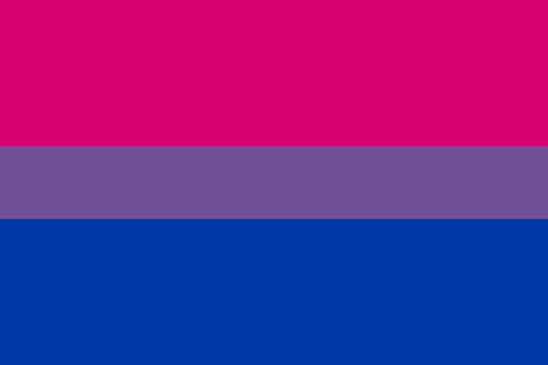 Bisexual flag.